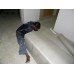Challanger Packers and Movers