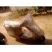 Paramount Packers and Movers